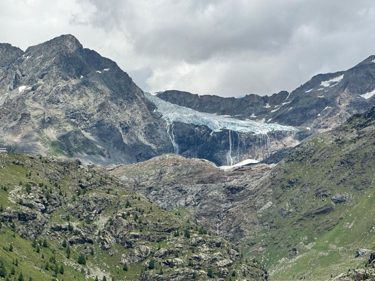 Snowlodge Valmalenco كاسبوجيو المظهر الخارجي الصورة