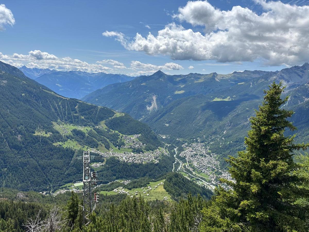 Snowlodge Valmalenco كاسبوجيو المظهر الخارجي الصورة